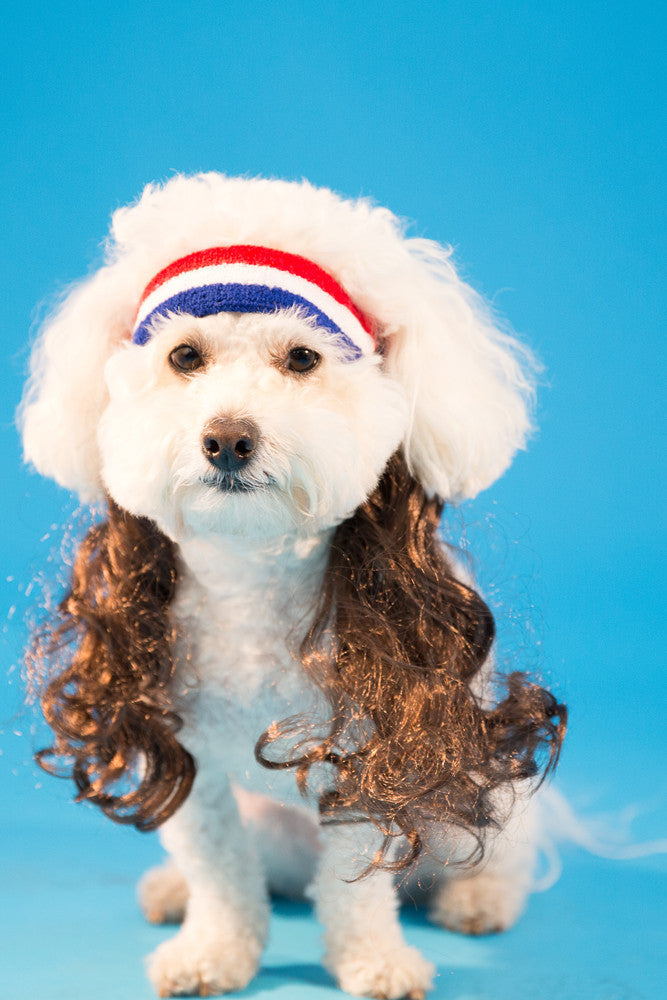 The All American Dog Mullet Headband Wig - 120 Pack